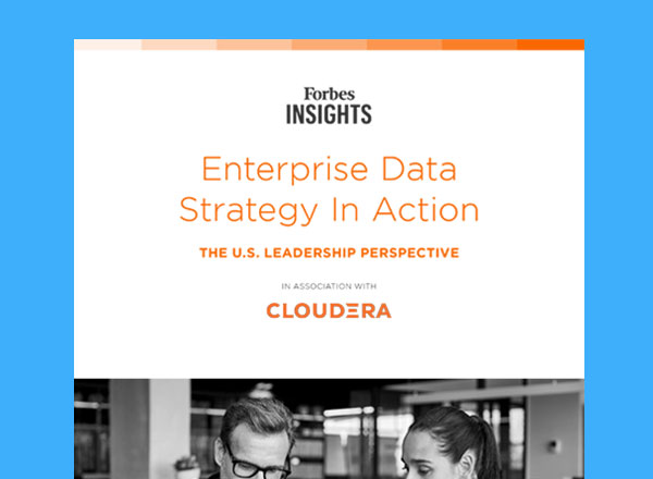 Enterprise Data Strategy in Action