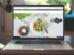 Effective Ways to Improve the Quality of a Website